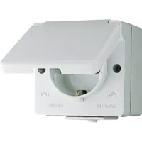 Jung SCHUKO-Steckdose 16A 250V 620 WX