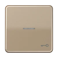 Jung Wippe Symbol TÜR/Lichtl gold für beleuchtbar Taster CD 590 KO5T GB