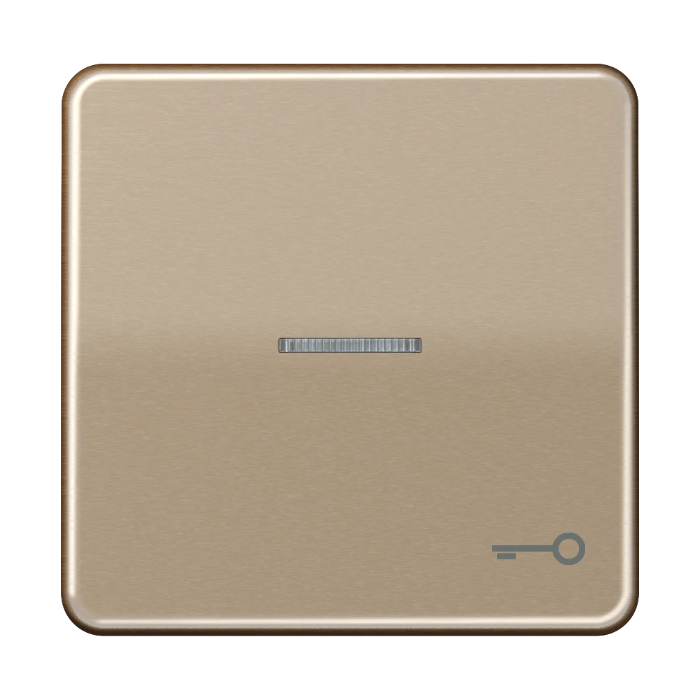 Jung Jung Wippe Symbol TÜR/Lichtl gold für beleuchtbar Taster CD 590 KO5T GB