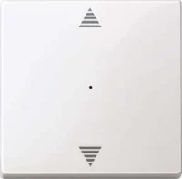 Merten Wippe pws/gl für Tastermodul 1 fach  619419