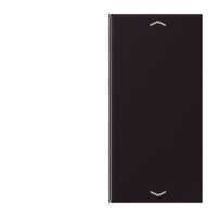 Jung LC402TSAP248 Taste 2-fach Pfeil LC4320E