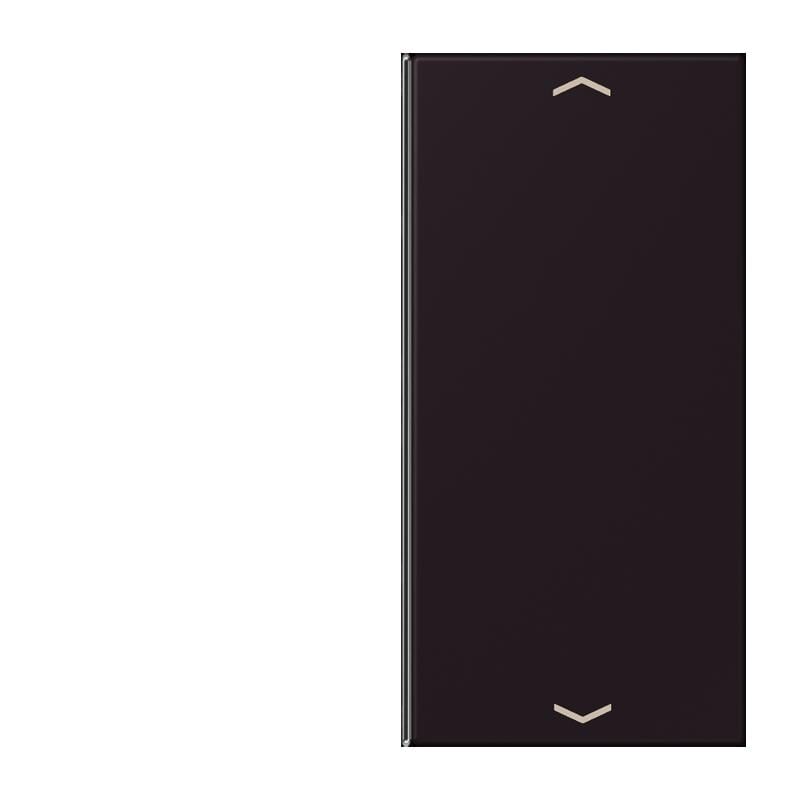 Jung Jung LC402TSAP248 Taste 2-fach Pfeil LC4320E
