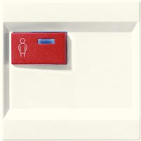 Jung Abdeckung ws für Fab.Ackermann LS 071 C