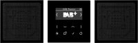 Jung Smart Radio DAB+ Set Stereo DABLS2SW