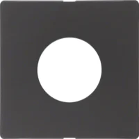 Berker Zentralstück anthrazit/sa Taster/Lichtsignal 11246086