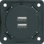 Berker USB-Ladesteckdose anthrazit-matt 2-fach 3A 926102505