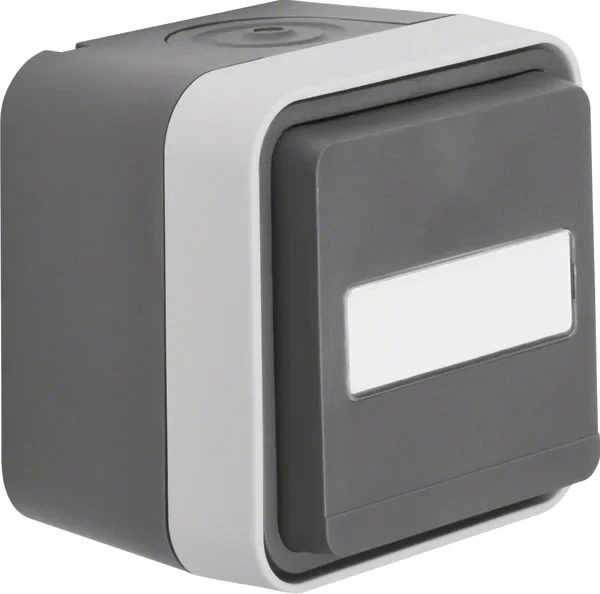 Berker Berker SCHUKO-Steckdose lichtgrau 47413515