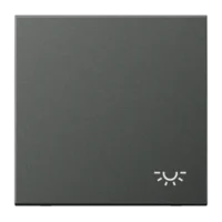 Jung Wippe Symbol LICHT anthrazit für Taster AL 2990 L AN