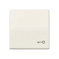 Jung Wippe Symbol TÜR weiß für beleuchtbar Taster ABAS 591 T