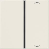 Jung Taste 1-fach ws mit Symbolen A 401 TSAP