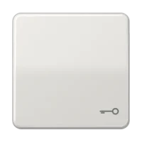 Jung Wippe Symbol TÜR lgr für Taster CD 590 T LG