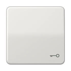 Jung Jung Wippe Symbol TÜR lgr für Taster CD 590 T LG