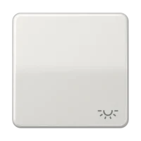 Jung Wippe Symbol LICHT lgr für Taster CD 590 L LG
