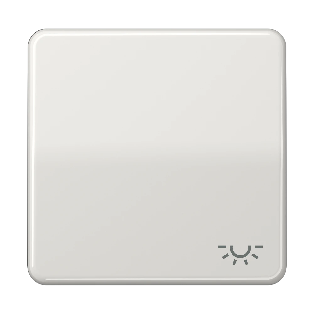 Jung Jung Wippe Symbol LICHT lgr für Taster CD 590 L LG