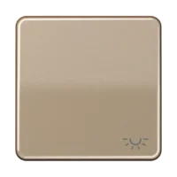 Jung Wippe Symbol LICHT gold br für Taster CD 590 L GB