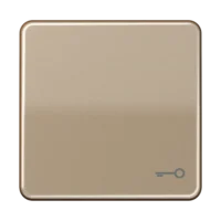 Jung Wippe Symbol TÜR gold brz für Taster CD 590 T GB