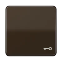 Jung Wippe Symbol TÜR br für Taster CD 590 T BR
