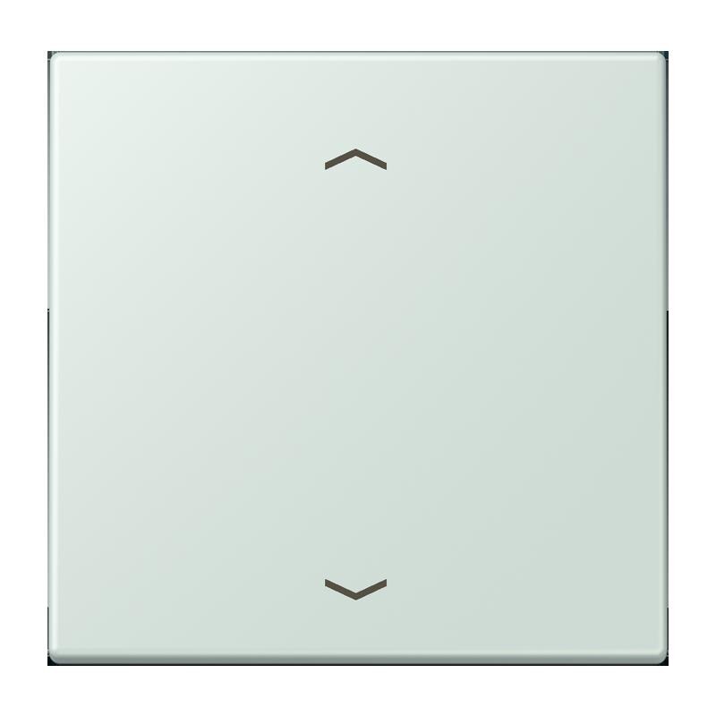 Jung Jung LC1700P215 Steuertaste Standard -Pfeile LC32034
