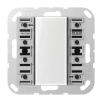 Jung KNX Tastsensor-Modul Standard, 2-fach A 5072 TSM