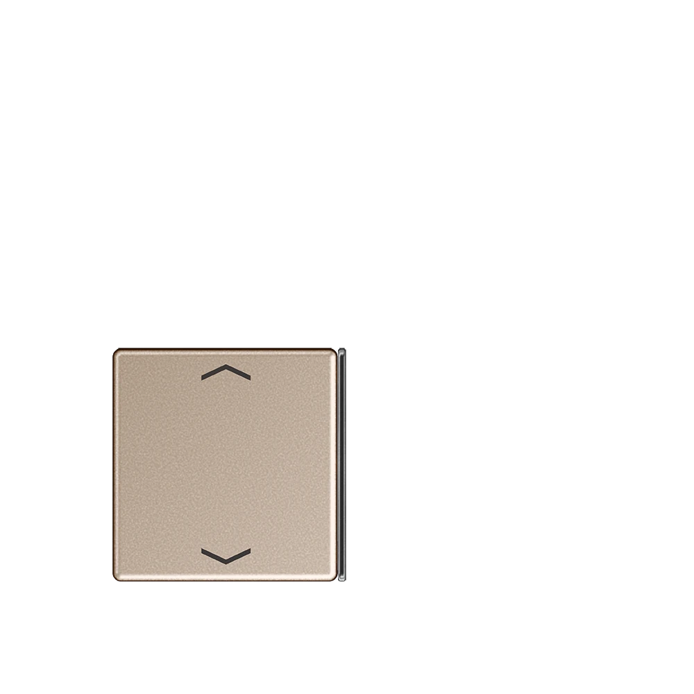 Jung Jung Taste 4-fach champ. mit Symbolen A 404 TSAP CH 23