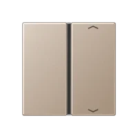 Jung Taste 1-fach champ. mit Symbolen A 401 TSAP CH