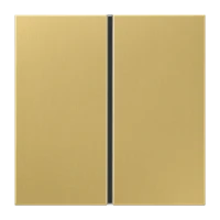 Jung Tastensatz 1-fach Mess/clas komplett ME 2401 TSA C