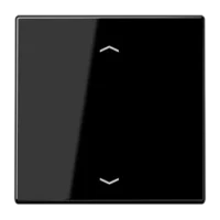 Jung Wippe Symbole schwarz für Taster LS 990 P SW