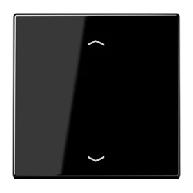 Jung Jung Wippe Symbole schwarz für Taster LS 990 P SW