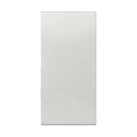 Jung Abdeckung in Tastenfarbe 33x66mm CD 50NALG