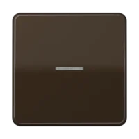 Jung Wippe Lichtleiter br für Taster CD 590 KO5 BR