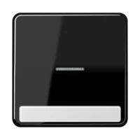 Jung Wippe Licht./Schriftf schwarz für Taster CD 590 NAKO5 SW