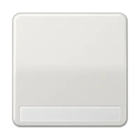 Jung Wippe Schriftfeld lgr für Taster CD 590 NA LG