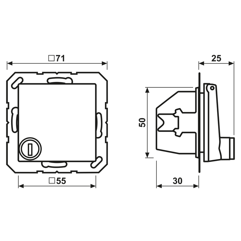 Jung Jung SCHUKO-Steckdose 16A 250V Klappdeckel A 1520 BFKLSL WW