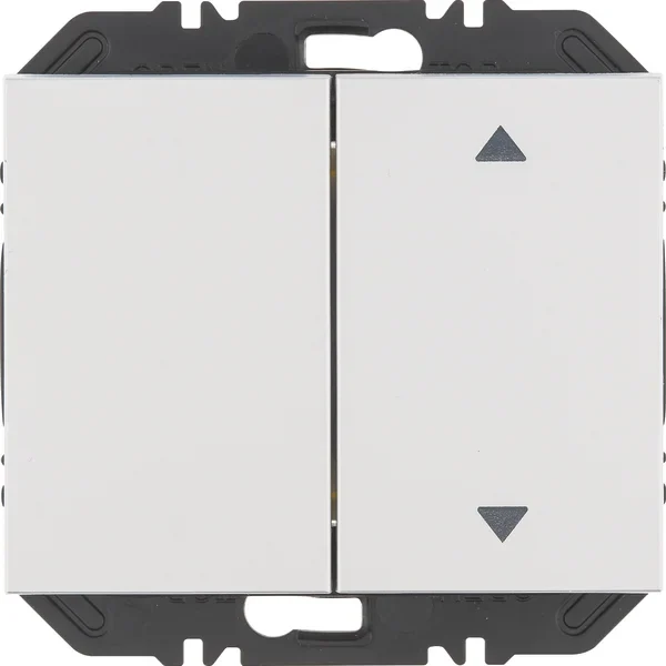 Berker Modul Wippe 2-fach eins Aufdr K5 aluminium 24127303