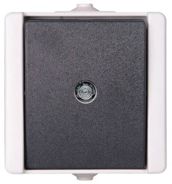 Kopp Kopp 540396001 AP-FR Taster beleuchtet pAQA hg/dg