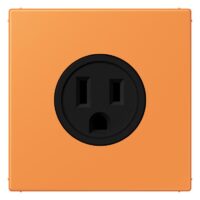 Jung LC521-15225 Steckdose US-Norm NEMA LC32081