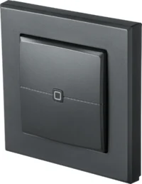 Homematic IP Wired Smart Home Wandtaster HmIP-WRC2-A, 2-fach, anthrazit