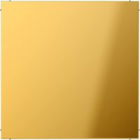 Jung Blind-Abdeckung go kompl.mit Tragring GO 2994 B