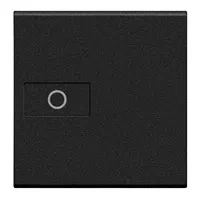 Legrand BTicino L4916M2A LivingLight Symbolwippe 2M Axial LICHT Anthrazit