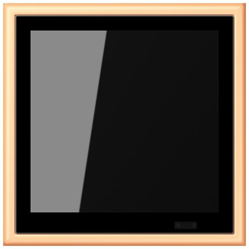 Jung Jung LC 459 D1 S258 KNX Raumcontroller LS TOUCH Serie LS terre sienne claire 59