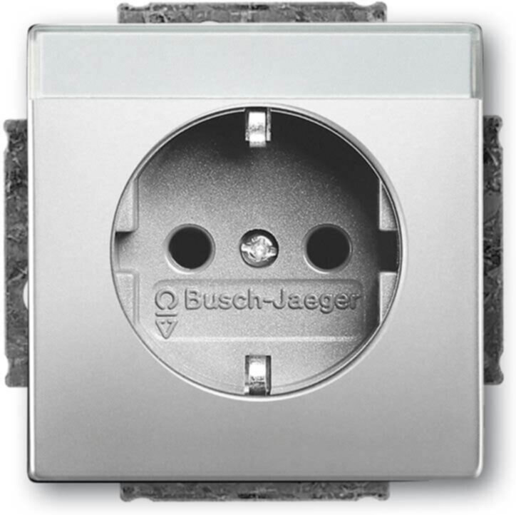 Busch-Jaeger Busch-Jaeger SCHUKO Steckdosen-Einsatz edelstahl 20 EUCNB-866