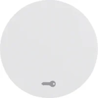Berker Wippe pows/gl mit Aufdruck Tür 16202059