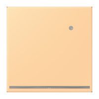 Jung LC1539-OLNW258 LED-Orientierungslicht m.Sensor LC4320