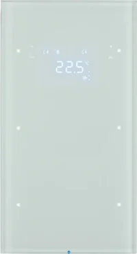Berker Touchsensor 2-fach Glas polarweiß 75642050