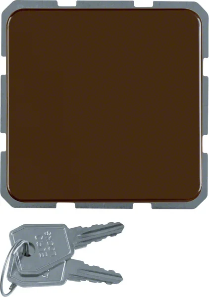 Berker Berker Schuko-Steckdose br mit Klappdeckel 476301