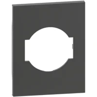BTicino KG03M3 LivingNow 3M Abdeckung für Steckdose Schuko/italienisch Black