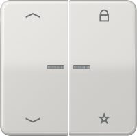 Jung FM CD 1701 P LG eNet Funk-Steuertaste Symbole Pfeile