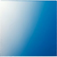 Jung Scheibe 62,5x61x1mm 61 GL