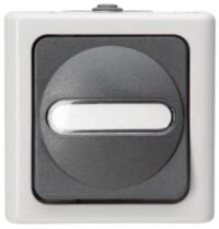 Kopp 561456001 Taster AP-FR 1-polig beleuchtet10AX 250V IP44 Blueelectric grau