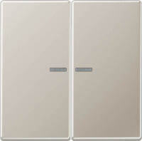 Jung KNX RF Taster 2-fach Edelstahl 1.4303 X4 ES 10921 ST RF
